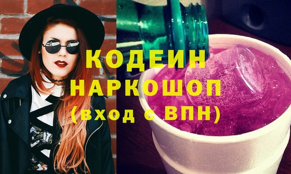 spice Ельня