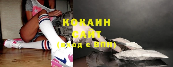 spice Ельня