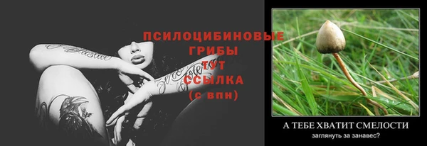 spice Ельня