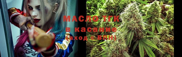 spice Ельня