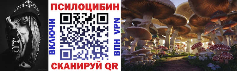 Галлюциногенные грибы Cubensis  Западная Двина 